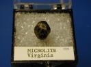 Microlite image.