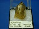 Muscovite image.