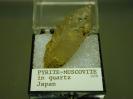 Pyrite image.