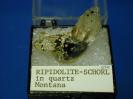 Ripidolite image.