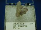 Apatite image.