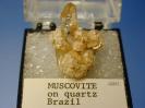 Muscovite image.
