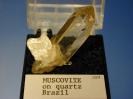 Muscovite image.