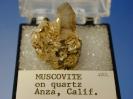 Muscovite image.