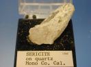 Sericite image.