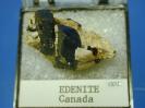 Edenite image.