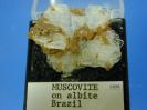 Muscovite image.