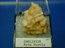 Gmelinite image.