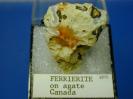 Ferrierite image.