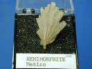 Hemimorphite image.