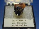 Bustamite image.