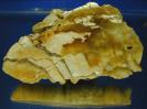 Opal image.