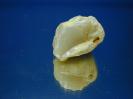 Opal image.