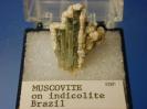Muscovite image.