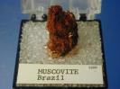 Muscovite image.