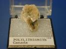 Polylithionite image.