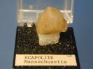 Scapolite image.