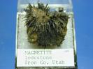 Magnetite image.