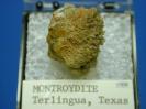 Montroydite image.