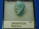 Prosopite image.