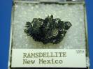 Ramsdellite image.