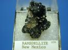 Ramsdellite image.