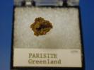 Parisite image.