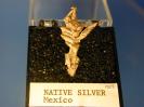 Silver image.
