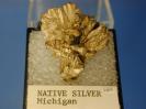 Silver image.
