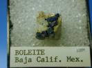 Boleite image.