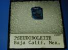 Pseudoboleite image.