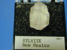 Sylvite image.