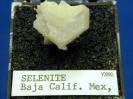 Gypsum image.