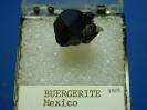 Buergerite image.