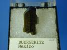 Buergerite image.