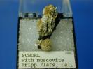 Tourmaline image.