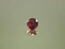 Garnet image.