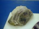 Quartz image.