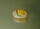 Opal image.