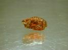 Garnet image.