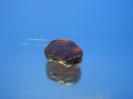 Garnet image.