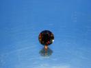 Garnet image.