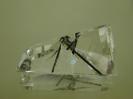 Quartz image.
