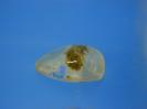 Quartz image.