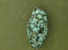 Turquoise image.