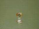 Adamite image.