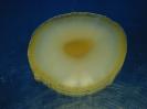 Chalcedony image.