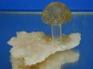Quartz image.