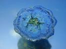 Malachite image.