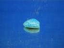 Microcline image.